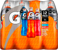 Bebida Gatorade Surtidos Pet 24 Pack 600 ml c/u